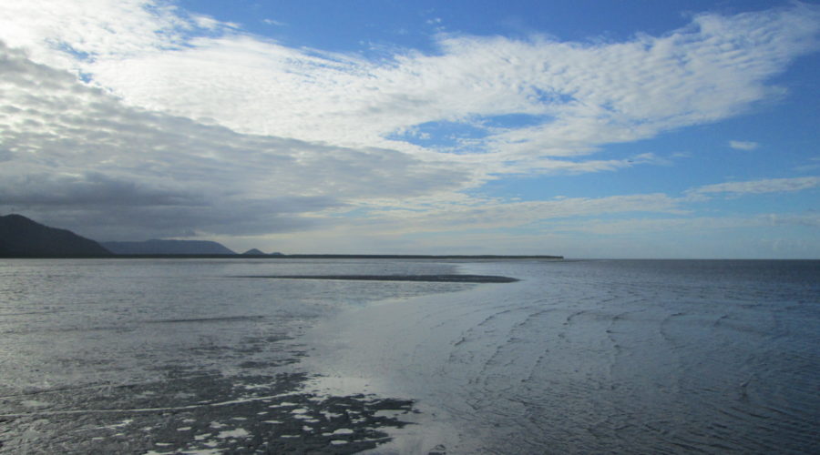 Road Trip: Australia (Brisbane to Cairns) Part 4