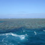 Great barrier reef