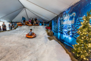 Wekiva Island Winter Wonderland Celebration