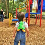 Playground at the Central Florida Zoo